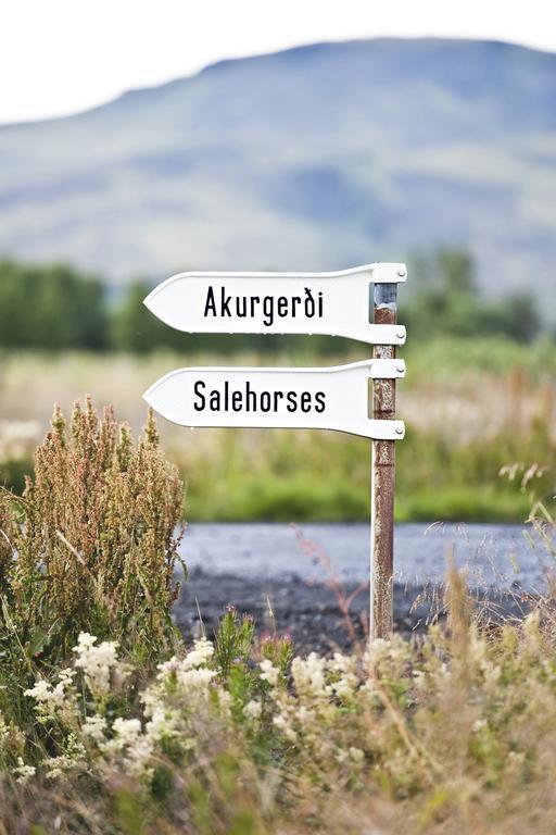 Akurgerthi Guesthouse 2 - Country Life Style Olfus Экстерьер фото