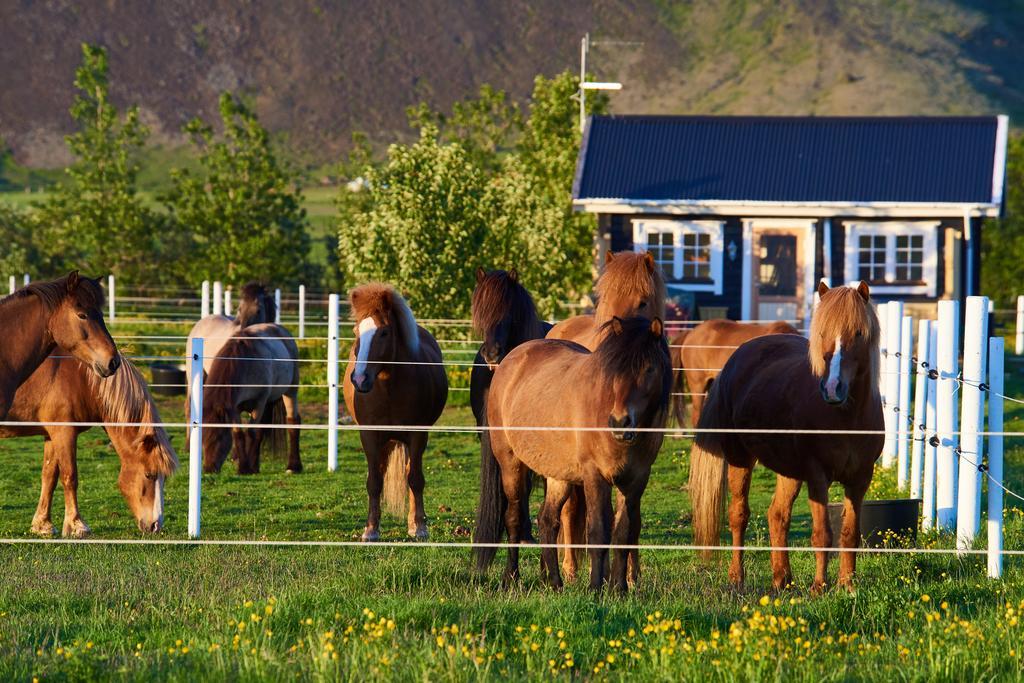 Akurgerthi Guesthouse 2 - Country Life Style Olfus Экстерьер фото
